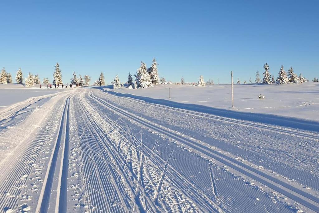 Leilighet Med Panoramautsikt Sjusjoen Innendors Parkering Dış mekan fotoğraf